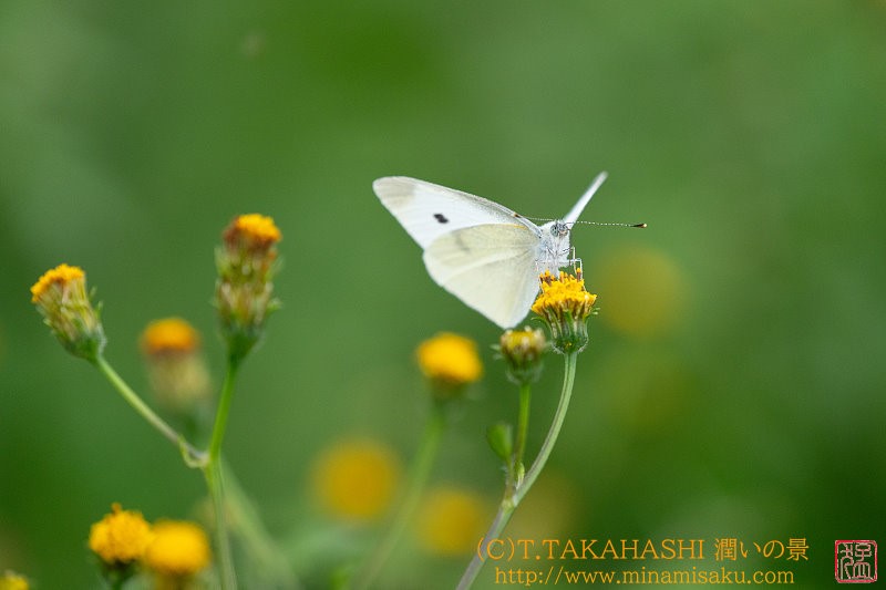 ../Images/7R241027 (107).jpg